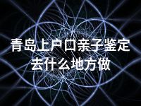 青岛上户口亲子鉴定去什么地方做