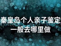 秦皇岛个人亲子鉴定一般去哪里做