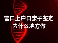 营口上户口亲子鉴定去什么地方做