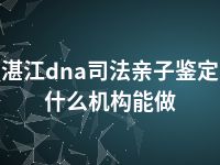 湛江dna司法亲子鉴定什么机构能做