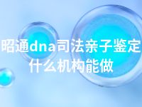 昭通dna司法亲子鉴定什么机构能做