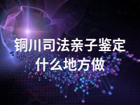 铜川司法亲子鉴定什么地方做