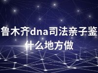 乌鲁木齐dna司法亲子鉴定什么地方做