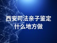 西安司法亲子鉴定什么地方做