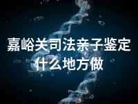 嘉峪关司法亲子鉴定什么地方做