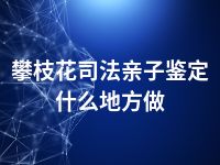 攀枝花司法亲子鉴定什么地方做