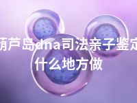 葫芦岛dna司法亲子鉴定什么地方做