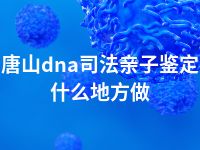 唐山dna司法亲子鉴定什么地方做