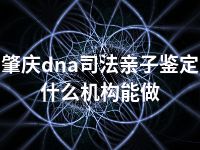 肇庆dna司法亲子鉴定什么机构能做