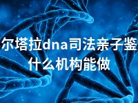 博尔塔拉dna司法亲子鉴定什么机构能做