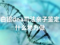 白银dna司法亲子鉴定什么地方做