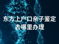 文昌上户口亲子鉴定去哪里办理