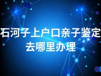 石河子上户口亲子鉴定去哪里办理