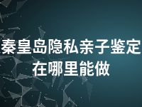 秦皇岛隐私亲子鉴定在哪里能做