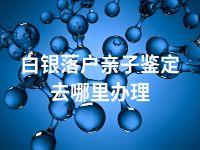 白银落户亲子鉴定去哪里办理