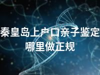 秦皇岛上户口亲子鉴定哪里做正规