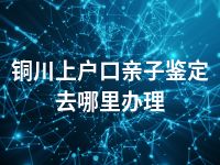 铜川上户口亲子鉴定去哪里办理