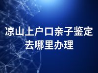 凉山上户口亲子鉴定去哪里办理