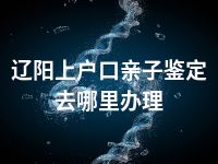 辽阳上户口亲子鉴定去哪里办理