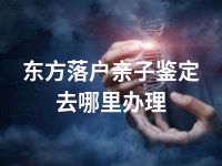 东方落户亲子鉴定去哪里办理