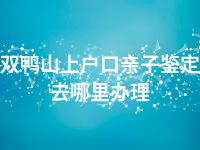 双鸭山上户口亲子鉴定去哪里办理