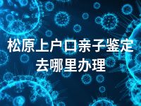 松原上户口亲子鉴定去哪里办理