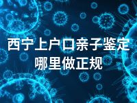 西宁上户口亲子鉴定哪里做正规