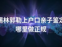 锡林郭勒上户口亲子鉴定哪里做正规