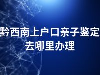 黔西南上户口亲子鉴定去哪里办理