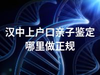 汉中上户口亲子鉴定哪里做正规