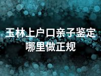 玉林上户口亲子鉴定哪里做正规