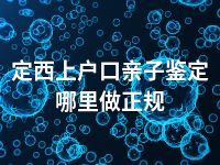 定西上户口亲子鉴定哪里做正规