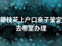 攀枝花上户口亲子鉴定去哪里办理