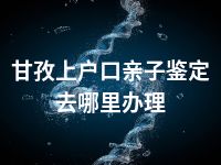 甘孜上户口亲子鉴定去哪里办理