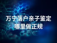 万宁落户亲子鉴定哪里做正规