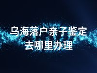 乌海落户亲子鉴定去哪里办理