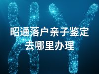 昭通落户亲子鉴定去哪里办理