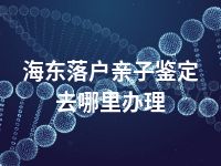 海东落户亲子鉴定去哪里办理