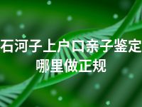 石河子上户口亲子鉴定哪里做正规