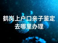 鹤岗上户口亲子鉴定去哪里办理