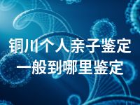 铜川个人亲子鉴定一般到哪里鉴定