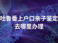 吐鲁番上户口亲子鉴定去哪里办理