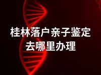 桂林落户亲子鉴定去哪里办理