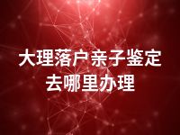 大理落户亲子鉴定去哪里办理