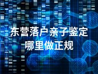 东营落户亲子鉴定哪里做正规