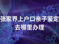 张家界上户口亲子鉴定去哪里办理