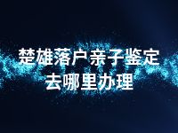 楚雄落户亲子鉴定去哪里办理