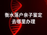 衡水落户亲子鉴定去哪里办理