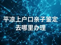 平凉上户口亲子鉴定去哪里办理