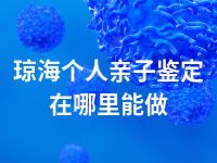 琼海个人亲子鉴定在哪里能做